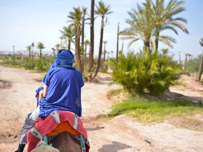 Tourist is on camel for a small tour in desert